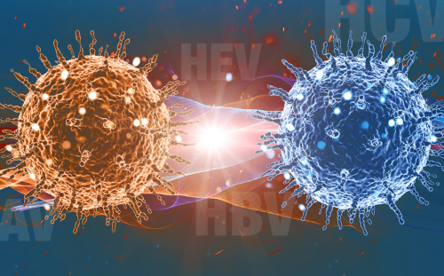 Rehberler / Makaleler